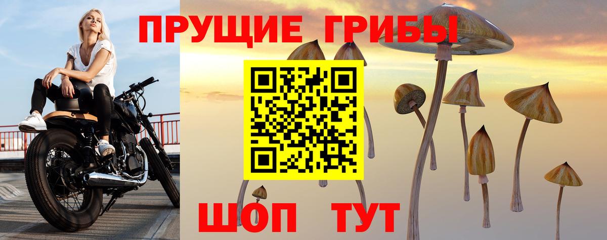 Галлюциногенные грибы Psilocybine cubensis  Вход с VPN  Псилоцибиновые грибы GOLDEN TEACHER  Волжск 